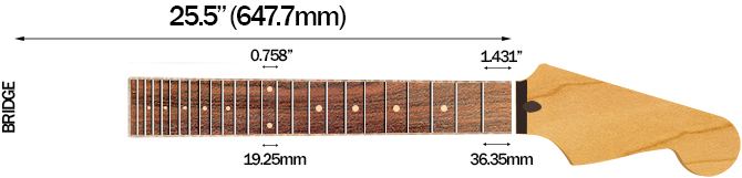 Fender 70th Anniversary Ultra Stratocaster HSS's Scale Length